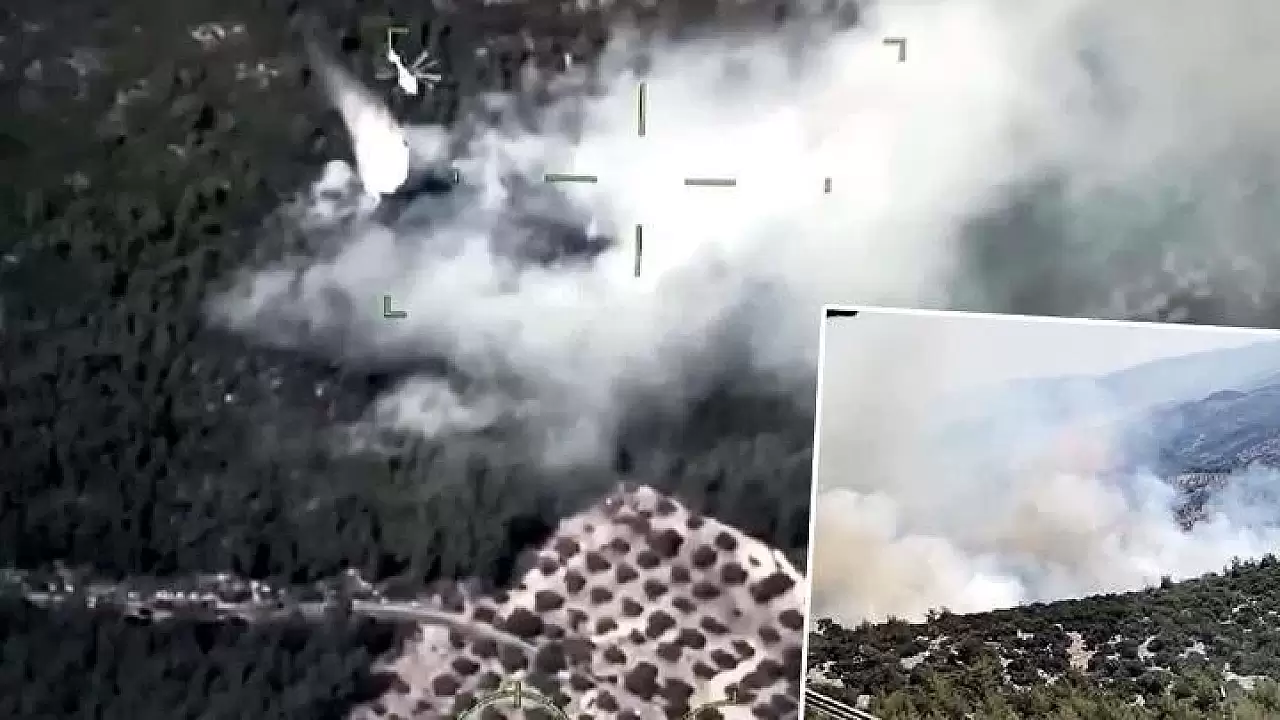 Muğla Milas'ta meydana gelen orman yangınının sebebi belirlendi: Sigara izmariti atılması!
