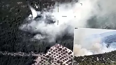 Muğla Milas'ta meydana gelen orman yangınının sebebi belirlendi: Sigara izmariti atılması!