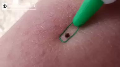 Bayram tatili yaklaşırken İstanbul'da artan sıcaklarla birlikte tehlike alarmı! Son durum ne?