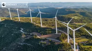 TÜREB Başkanı: Türkiye'nin Rüzgar Enerjisi İhracatı Artıyor, Ekonomiye Olumlu Etkiler Devam Edecek.