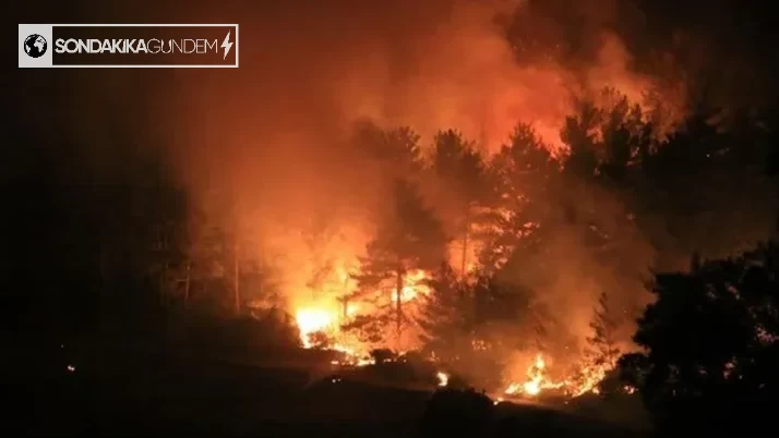 Bodrum'da Orman Yangınına Karadan ve Havadan Büyük Müdahale