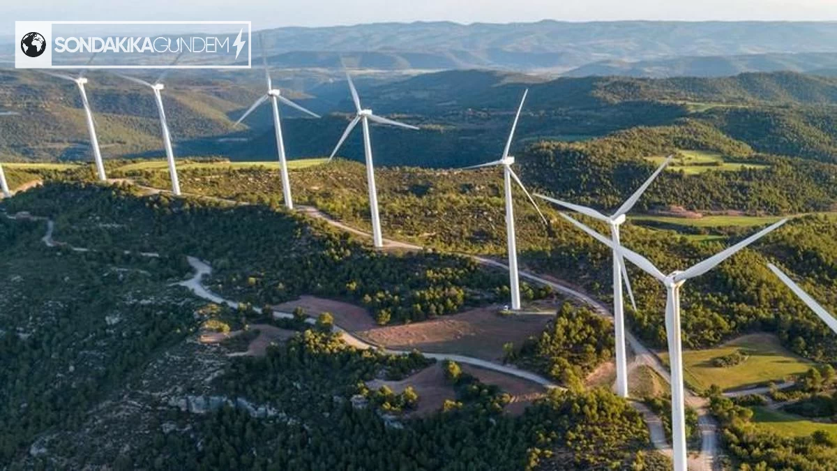 TÜREB Başkanı: Türkiye'nin Rüzgar Enerjisi İhracatı Artıyor, Ekonomiye Olumlu Etkiler Devam Edecek.
